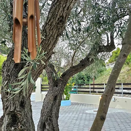 Konukevi Oasis