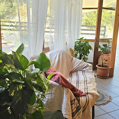 Oasis Konukevi 3*